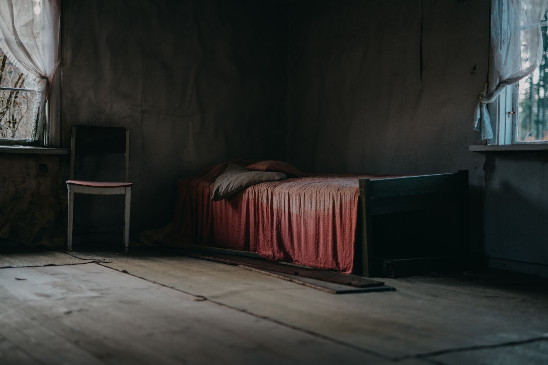 Traitement punaises de lit à Poitiers